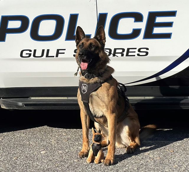 GSPD Selling Adorable Stuffed Replicas of K9 Dogs
